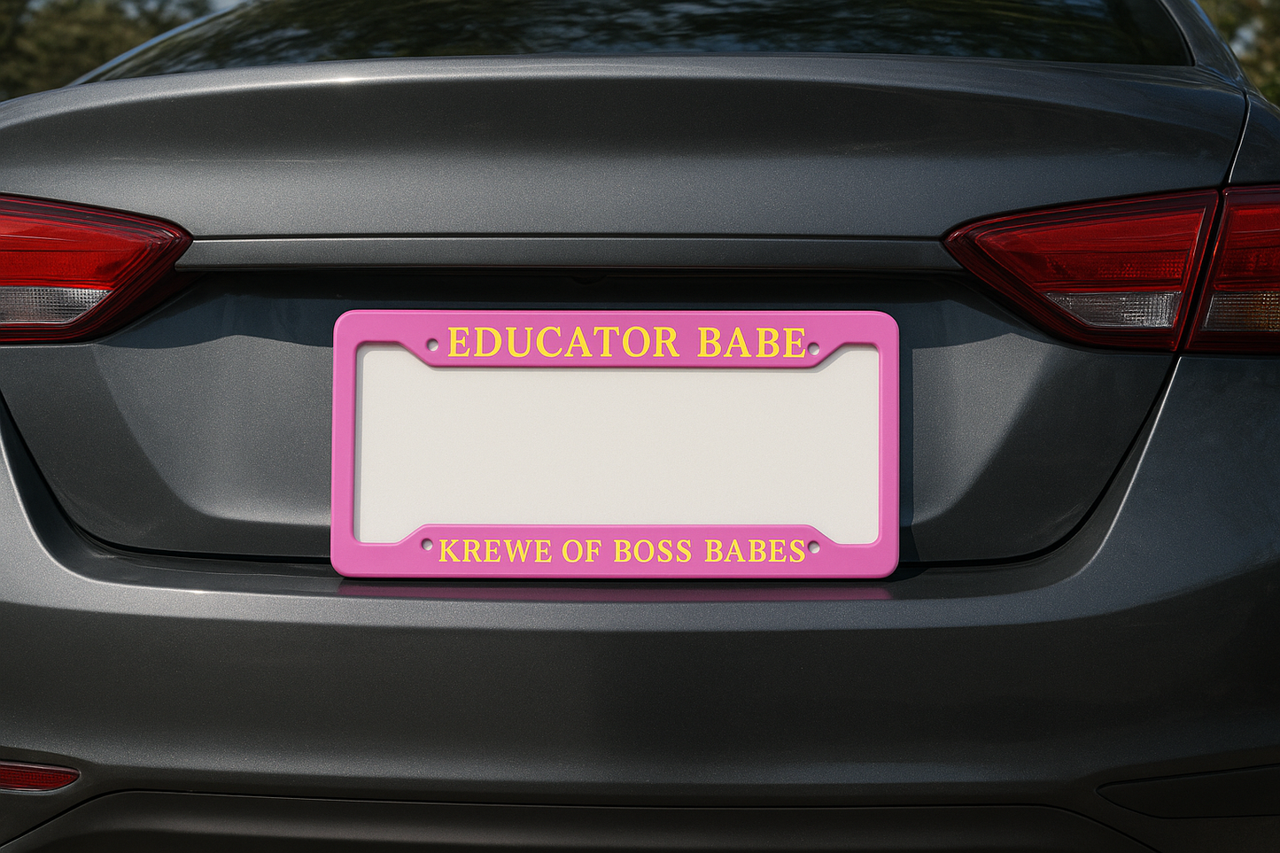 EDUCATOR BABE - COUTURE LICENSE PLATE